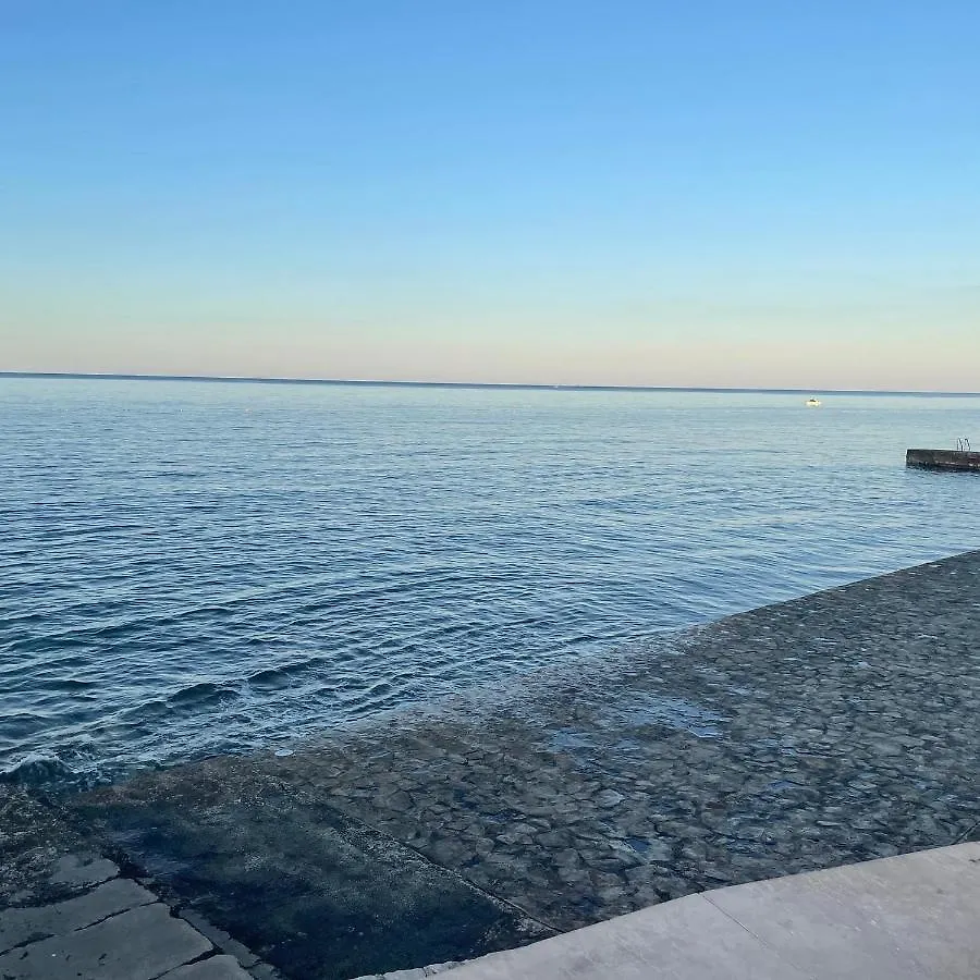 Apartamento App Robi Novigrad Istria 0*,  Croacia